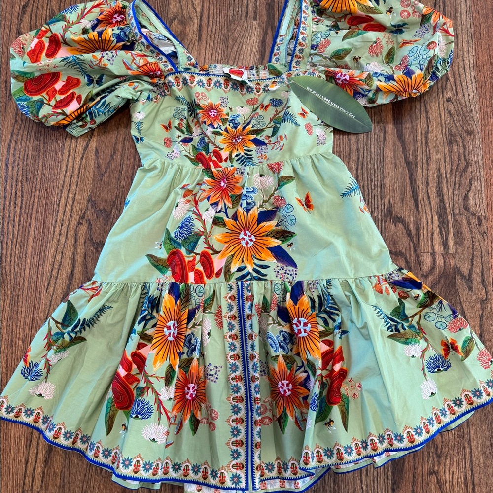 FARM Rio Light Green Floral Puff-Sleeve Dress with Orange & Red Blooms.  Small